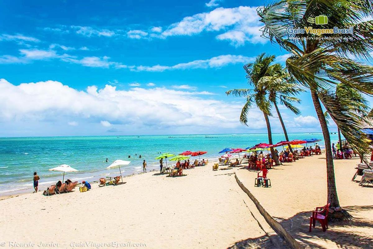 Ape 100 Metros Do Mar - Praia Maceió Esterno foto